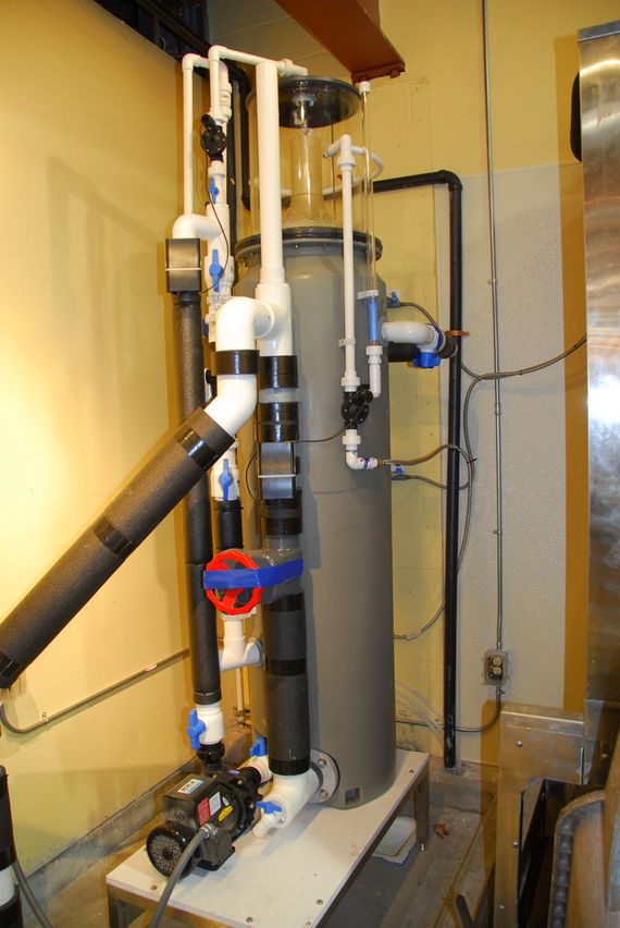 Commercial Water Filtration